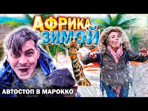 Видео: Горы Среднего Атласа / Бродяжничество в Марокко