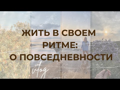 Видео: В поисках тишины | влог о простой жизни.
