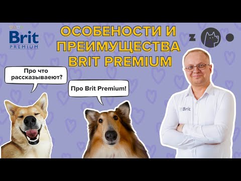 Видео: Особенности и преимущества корма Brit Premium