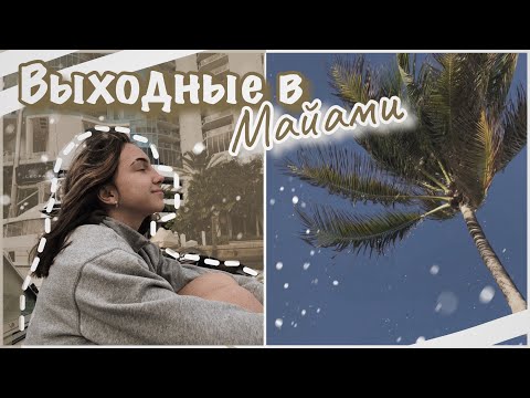 Видео: vlog 35| Выходные в Майами