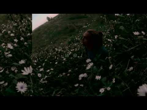 Видео: лампабикт — холодно // slowed + reverb