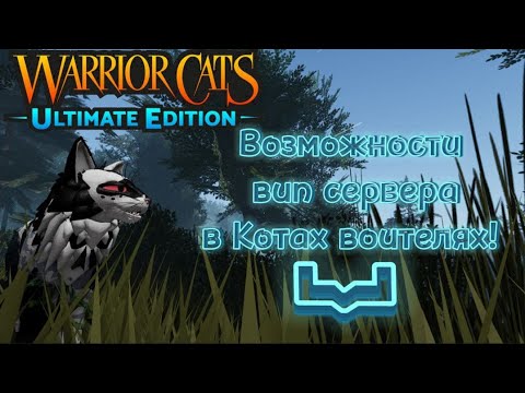 Видео: Возможности VIP Сервера В КОТАХ ВОИТЕЛЯХ ROBLOX!