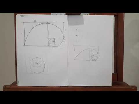 Видео: Золотое сечение и спираль Фибоначчи.ПЕРВАЯ ЧАСТЬ #ильяставский #золотоесечение #рисунок #композиция