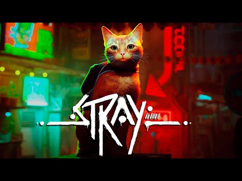 Видео: НОВЫЙ ШЕДЕВР ПРО КОТИКА - БРЕЙН ИГРАЕТ В STRAY