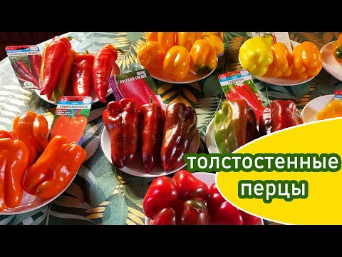 Видео: Перец сладкий толстостенный в 2025  / Итог