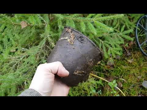 Видео: Холодная осень на немецких позициях