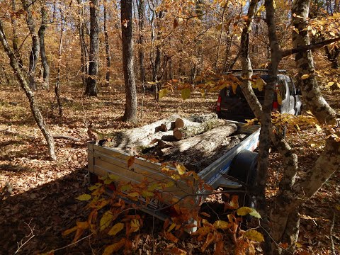 Видео: В лес за валежником.