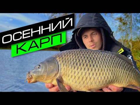 Видео: ЛОВЛЯ КАРПА ОСЕНЬЮ / РЫБАЛКА НА ФИДЕР / FROS FISHING