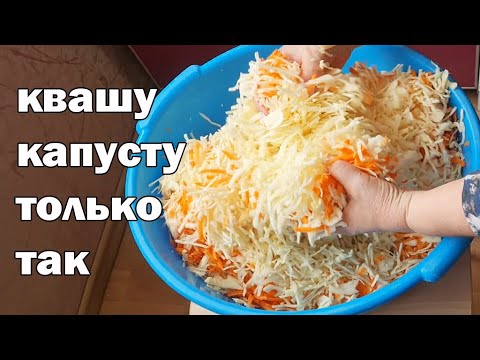 Видео: Квашу капусту всегда так как научила свекровь.В помощь будет кухонный комбайн Oberhof Schwung C26