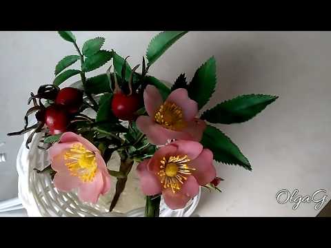 Видео: Как сделать ветку шиповника часть2 от Ольги Мурзилкиной