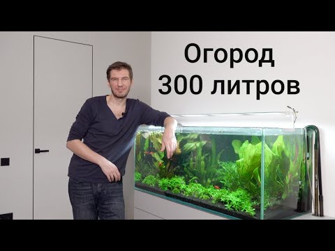 Видео: Перезапуск аквариума с живыми растениями