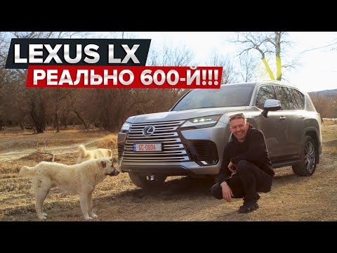 Видео: Lexus LX / Выбираем в Грузии между Lexus LX 600 и LX 500d