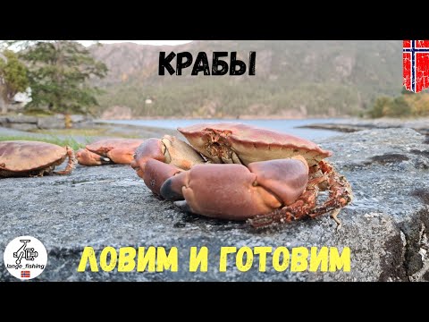 Видео: КРАБЫ! ЛОВИМ И ГОТОВИМ! Рыбалка в Норвегии. Норвегия. Рыбалка. Ловля крабов в Норвегии 2020.