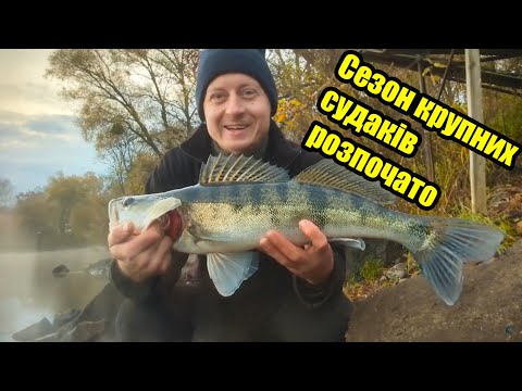 Видео: 🔥🔥🔥Сезон BIG FISH 🎣🐟