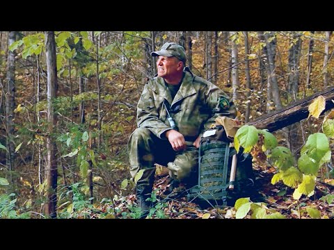 Видео: Охотничий инстинкт: Барсук и лайка. Охота без выстрела в Завьяловском районе