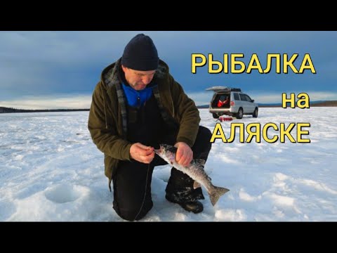 Видео: Рыбалка на Аляске.Подводная съемка.