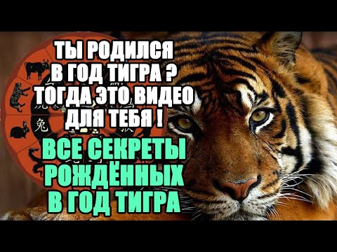 Видео: Родился в Год Тигра? Самый подробный разбор твоих качеств и талантов.