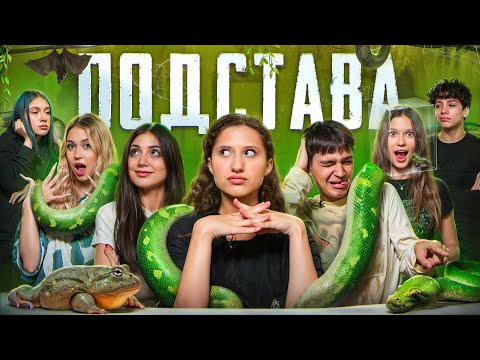 Видео: САМЫЙ ЖЁСТКИЙ ВЫПУСК Подстава #3 Вирсавия, Джами, Ариша, Тамик, Сафарова, Туленов, Кира