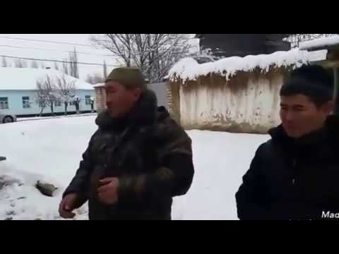 Видео: Куршаб