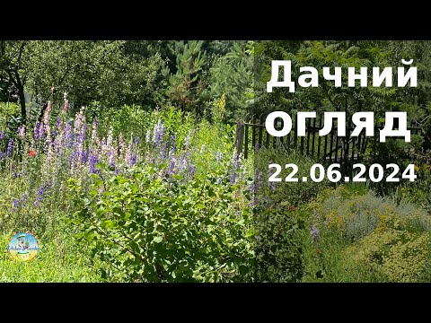 Видео: Дачний огляд 22 червня 2024 року.