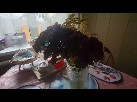 Видео: Сижу без света. Снова переезд.