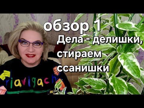 Видео: Дела - делишки , стираем ссанишки 🤪
