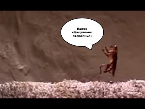 Видео: То что не замечаешь при первом просмотре... (8 часть)