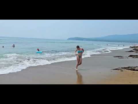 Видео: Пляж Шамора. Владивосток 2024.07. Лазурная