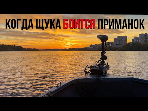 Видео: Когда ХИЩНИК не совсем хищник... Переходный период в ОСЕННЕЙ ЛОВЛЕ ЩУКИ | Рыбалка в Нижнем Новгороде