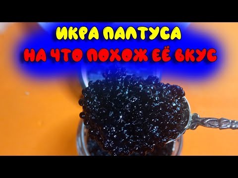 Видео: Икра палтуса ❗ На что похожа по вкусу и почему она черная