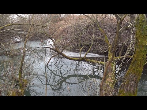 Видео: Крига небезпечна, але я знайшов вихід...