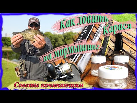 Видео: Как ловить карася на мормышинг? Советы начинающим