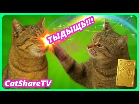 Видео: Муж Получил Леща От Балерины! 🔥