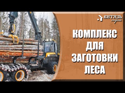 Видео: Как происходит ЗАГОТОВКА леса в делянке лесозаготовительным КОМПЛЕКСОМ.