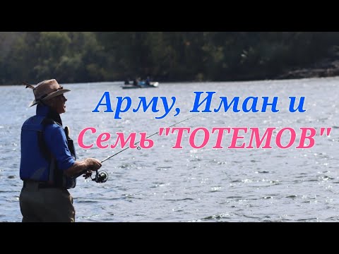 Видео: Арму, Иман и Семь "Тотемов".Часть Первая.