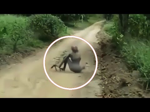 Видео: Жуткое Существо Выползло Из Леса | Мистические Новости #26