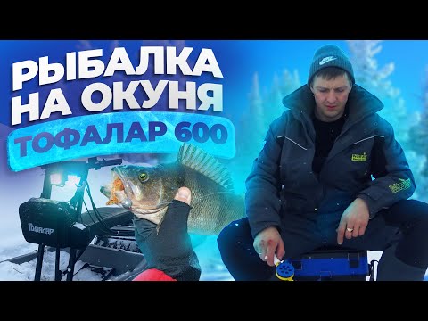 Видео: Ночь в лесу с рыжим зверем. Карело финская лайка. Рыбалка на окуня. Тофалар 600. Рыбалка 2024.