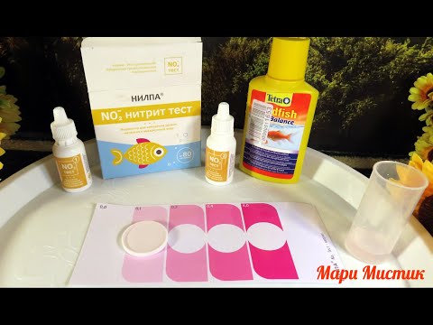 Видео: ТЕСТ результат через 24 часа 13.10.23 #TETRA_EasyBalance РАБОТАЕТ ОТЛИЧНО #аквариум #тест НИЛПА