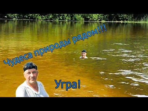 Видео: Отдых и рыбалка на реке Угра. База отдыха "Гнездо".