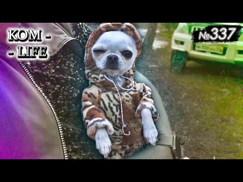 Видео: Горный Алтай - 2022 / Часть 2