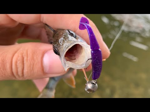 Видео: Рыбалка в центре города Винница! Ловля на реке Южный Буг. StreetFishing