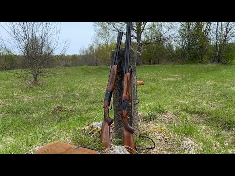 Видео: Ata Arms SP: КОРОТКИЙ СТВОЛ ПРОТИВ ДЛИННОГО, отстрел, отзывы владельцев