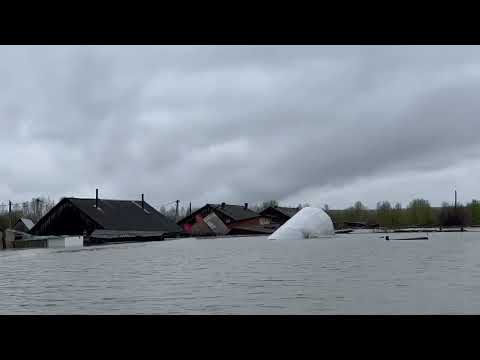 Видео: 13 мая 2024 г.