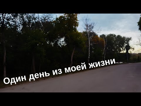 Видео: Один день из моей жизни