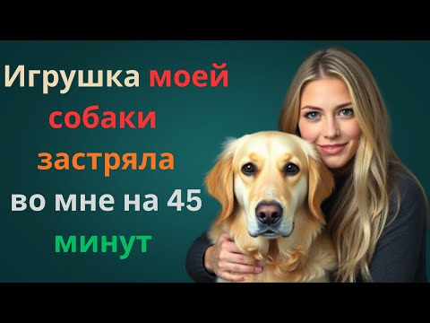 Видео: 45 минут паники: что произошло с щенком и его игрушкой 🐾