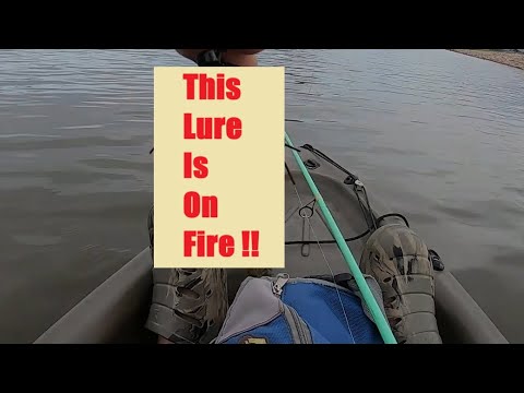 Видео: Рыба УНИЧТОЖАЕТ эту приманку на озере Рузвельт, Аризона (крупный окунь)