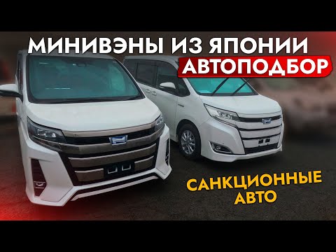 Видео: АвтоПодбор МИНИВЭНА Toyota: NOAH, VOXY, ESQUIRE❗ ЦЕНЫ ПАДАЮТ❗ Купили авто и обслужили в автосервисе