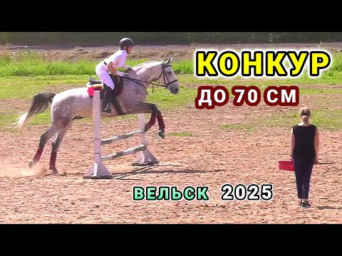 Видео: Конкур с высотой препятствий до 70 см - Вельск 2025