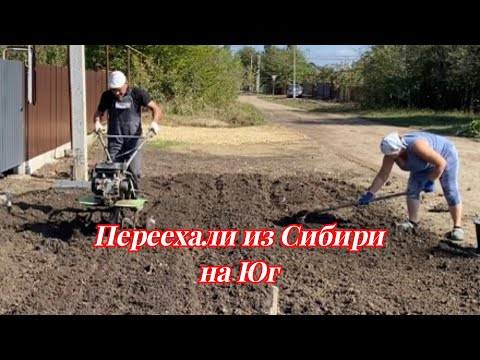 Видео: 684ч🏡02.10.25-Перепахали придомовую//Получили розы 🌹//Купили малину//
