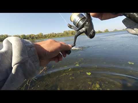 Видео: Блесна атом на все времена!Рыбалка на спиннинг 2018!
